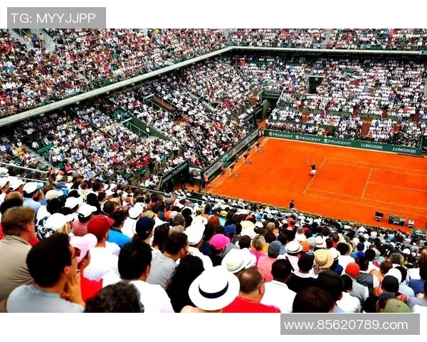 杭州网球队的转型之路：从传统到创新的杯赛特别报道