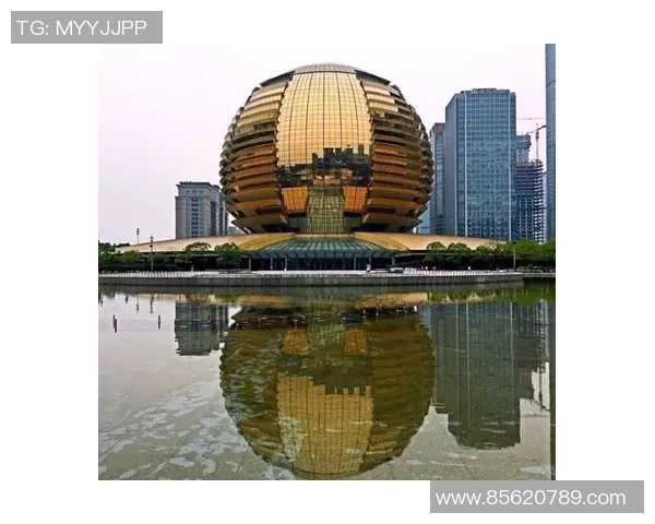 杭州羽毛球队在洲际杯上的拼搏历程与荣耀时刻全景回顾