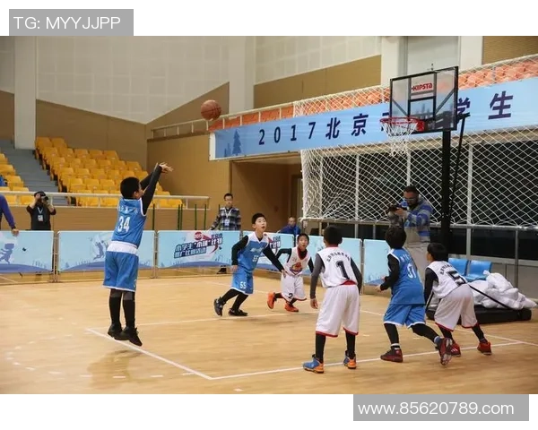 欧锦赛分析：北京篮球队在比赛节奏中的表现与战术探讨