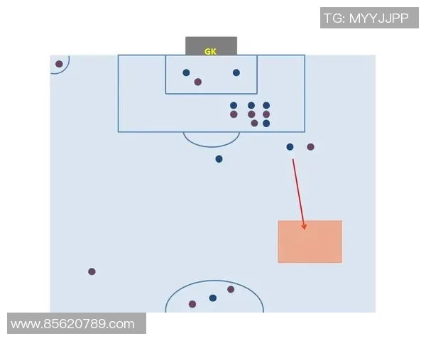 武汉篮球队区域防守战术深度解析与实战应用探讨