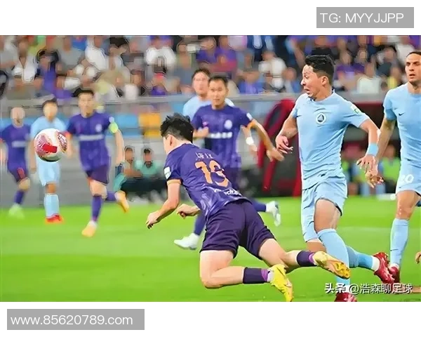 深圳排球队速度之争引发热议球迷与专家各执己见