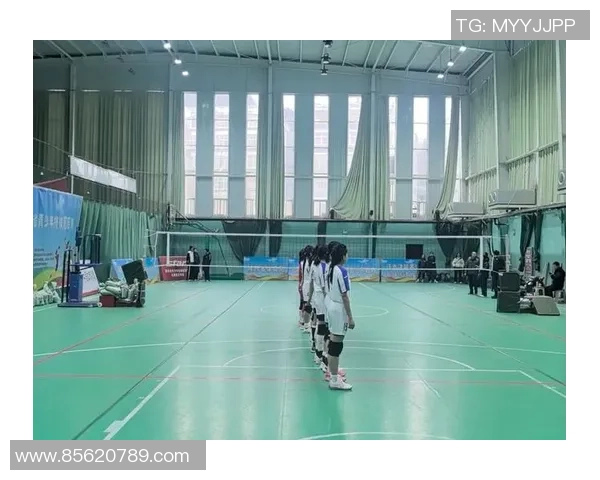 独家分析：西安排球队的状态对比