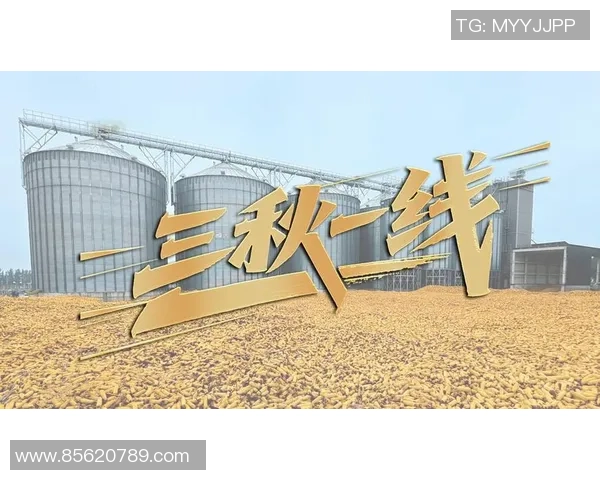 重磅专题：WE的进攻革新